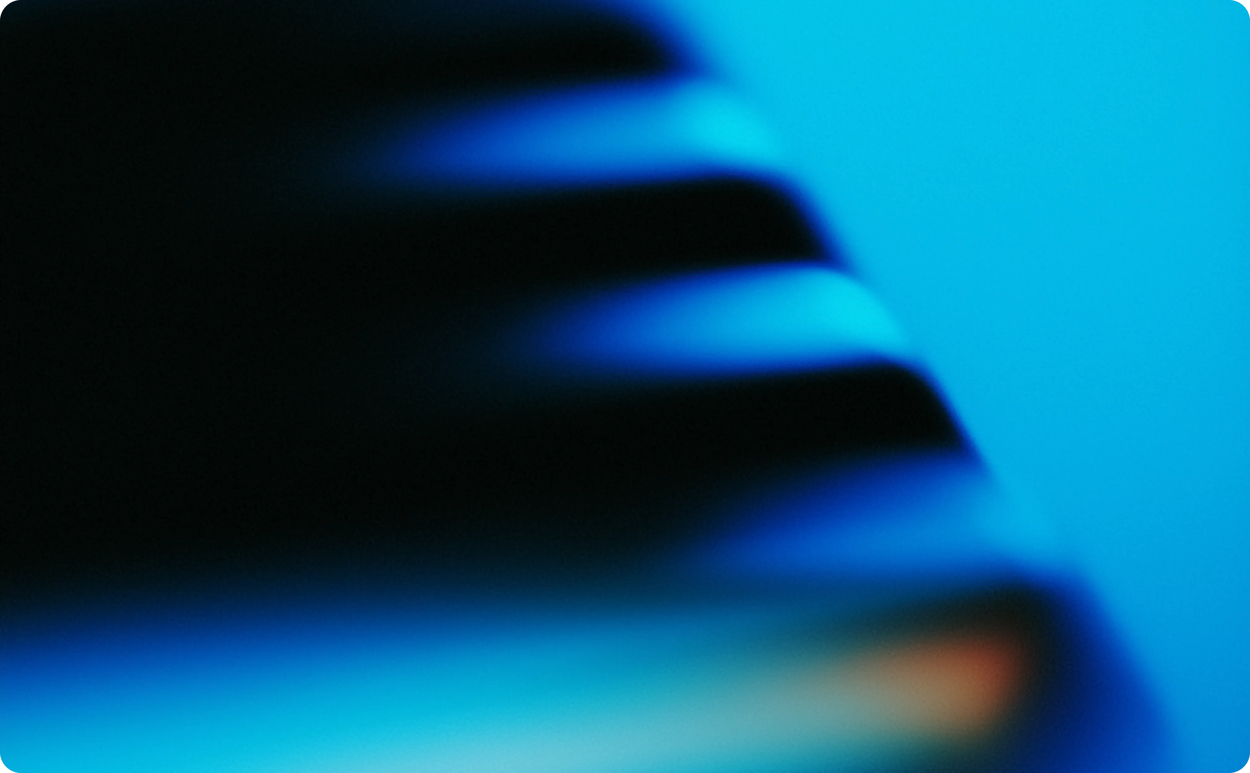 Blog Details